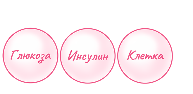 Что такое углеводный обмен?